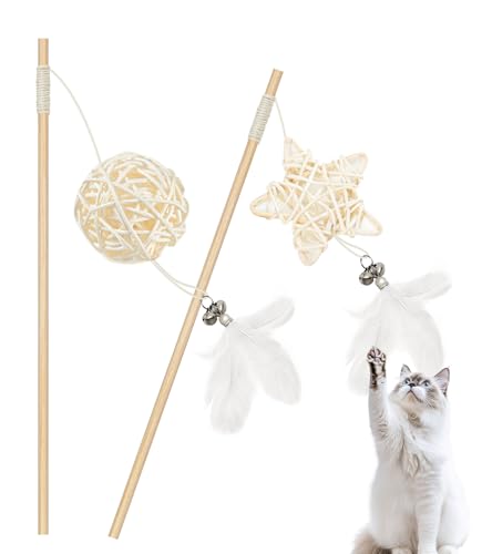 HOLYCAT L 炵 L  Zp^N[ i`^{[ H t ȓVR ^ 2_Zbg  v ˂炵 lV OȂ VR i` ɗDf HׂĂǂ XgX LV ^s