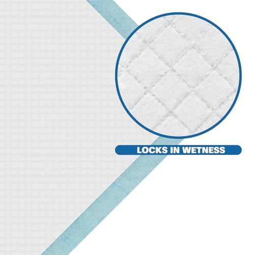 Image of Puppy Pee Pads, 22 x 22 Inch 600 Count Pet Potty Training Pads for Dogs, Leak-Proof Quick Absorb 6-Layer Design, Ideal for Puppies, Cats, Rabbits, and Guinea Pigs, Blue