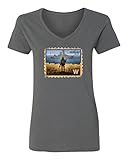 Baku Apparel Ukraine Sunk Russian Warship Support Ladies' V-Neck Tshirt (Gray, Small)
