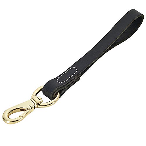 Fairwin Leather Short Dog Leash 12