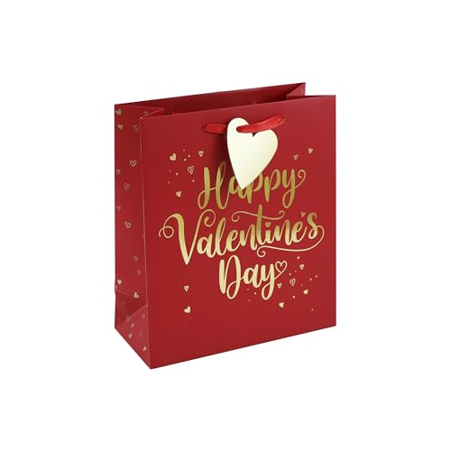 Eurowrap Happy Valentines Day Paper Gift Bag Love Special with Heart Gift Tag Medium