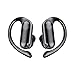Hearing Aids for Seniors, Rechargeable Hearing Aids for People with Hearing Loss, Hearing Amplifier for Adults, Quality Sound, Intelligent Noise Cancellation, Standby 100h, Comfortable Wearing（Black）