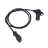 Machen Sie das Modell des Modells