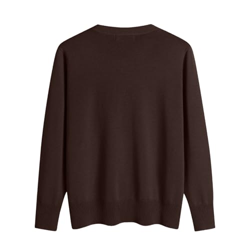 OIOLOYJM Fall Cashmere Sweaters for Women 2025 V Neck Long Sleeve Tops Knitted Pullovers Lightweight Merino Wool Sweater