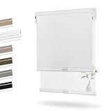 Boolegon Dual Roller Shades, Cordless Double Window Shades Blackout and Light Filtering Shades with Valance, Day and Night Roller Blinds for Home Office Door, Linen White & White, Custom Size