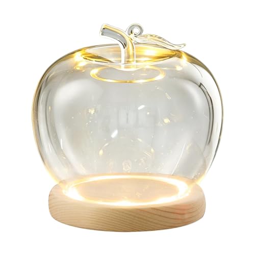 Cúpula de cristal antipolvo de 20cm para proteger figuras con iluminación LED 8