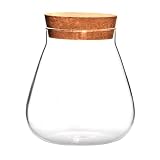 Hohopeti Vaso Vetro Trasparente Con Tappo Sughero Contenitore Per Terrario Piante Mini Decorazione Fai Da Te Per Casa Ufficio