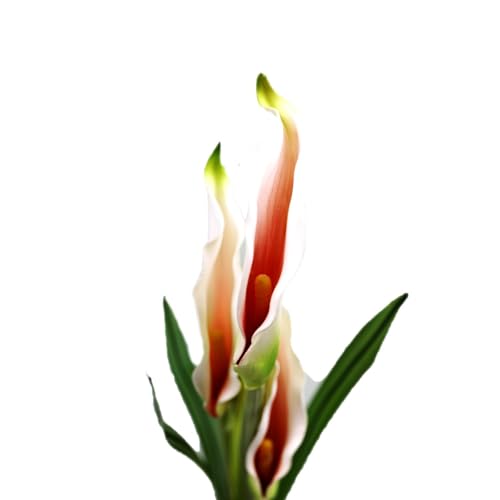 Image of Enhance Your Space with Artificial Leaf Decor Foliage for Stunning Interiors Decorative Items for Home;Office; Room; Living Room; Table; (Without Vase) (Pack of 2, Red and White Lily)