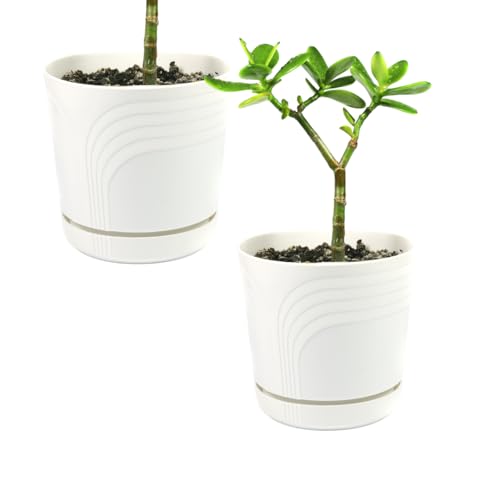 Maceteros - Pack de 2 - Multiaction