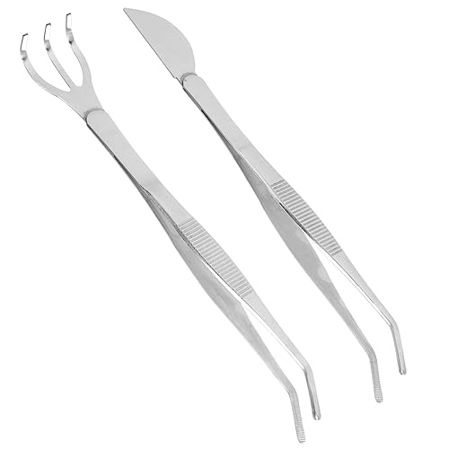 FUNOMOCYA Gardening Bonsai Set Rake for Bonsai Planting Supplies