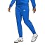Team Royal Blue