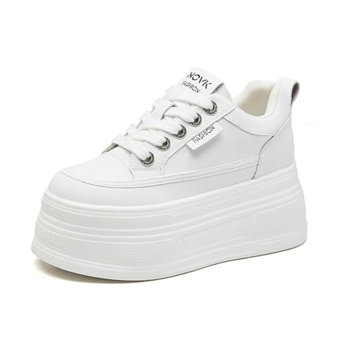 [TQAZQA] Xj[J[ fB[X V[NbgV[Y JWAV[Y  V[NbgV[Y [Jbg nCq[ y U[ [XAbv ʊw 22.5 cm   zCg 
