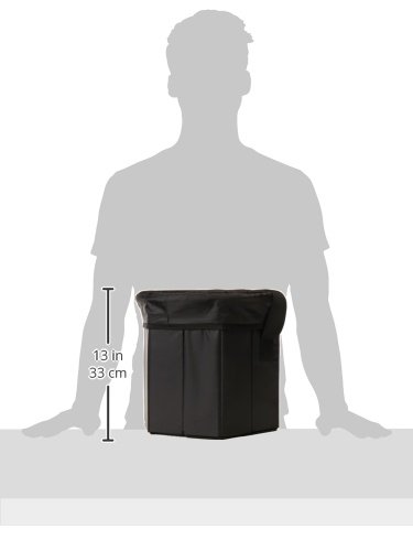 Image of Picnic Time NFL Bongo Portable Soft Cooler & Seat - Beach Cooler Tote - Collapsible Cooler Bag