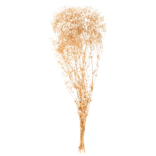 Ramo de Flores Secas Para Decoración Natural