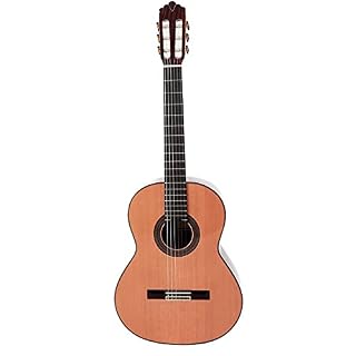 Prodipe Guitare classique 6 cordes (SOLOIST 900) - Les Beatles, Paul McCartney, John Lennon, RIngo Starr, George Harrison