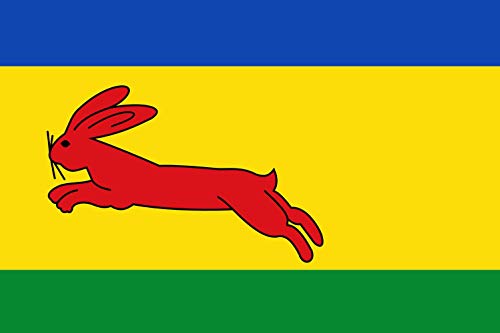 Drapeau Gaasterlân vlag 1963 grand format tissu polyester extérieur - 2