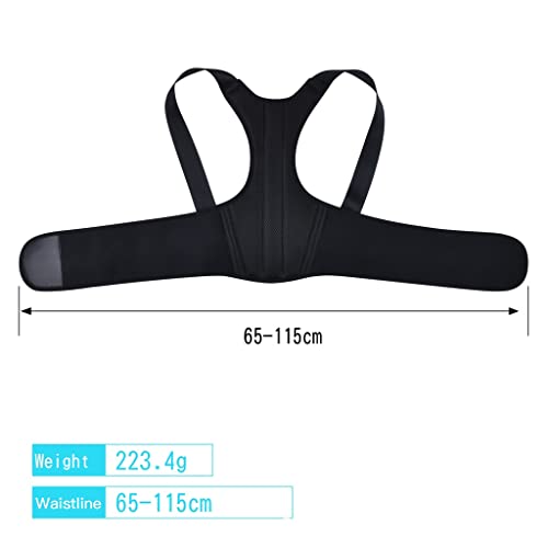 Correction du dos pour posture assise prolongée en révision - 4