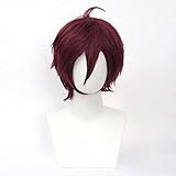 HUIJIE Anime Cosplay Wig，Amnesia Shin Wig，Dark red short Wig，with Free Wig Cap，for Christmas Carnival party Halloween Cosplay Wig