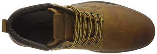 JACK & JONES Homme 12159516 Chaussures-lifestyle, Marron Clair, 42 EU