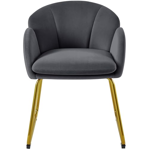 Yaheetech Silla Tapizada Terciopelo Gris Oscuro