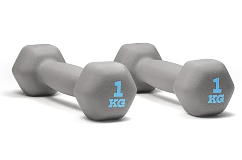 �_���x�� 1kg 2�Z�b�g ���ϋv�� ���S�݌v �؃g�� ���C�g�O���[ gray HX