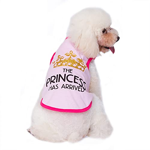 3 Pack Dog Clothes - Image 4