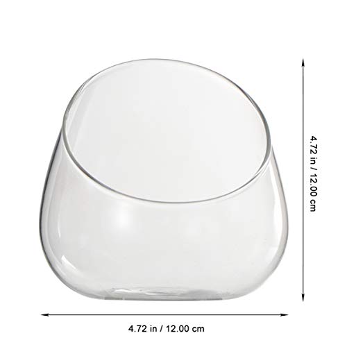 Cabilock Glass Terrarium Bowl Vase Planter Jar Air Plant Holder For For Fern Moss Succulent Air Plants Tabletop Miniature Fairy Garden Decoration Floral Container #TOP5