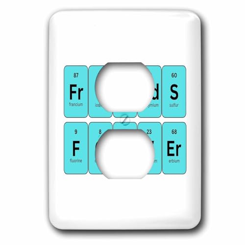 3dRose Text of Friends Forever - Periodic Table design - Light Switch Covers (lsp-388426-6)