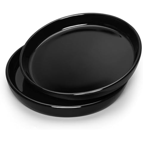 DUNPUTE Ceramic Plant Saucer 2 Pack, 6 7 8 10 12 14 Inch Ceramic Garden Planter Pot Drainage Trays for Indoor and Outdoor, Flower Pot Saucers for Holding Water Drips and Soil(12 Inch, Black) Cover