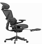 Amazon.co.jp: HINOMI H1 Pro V2 人間工学フルメッシュオフィスチェア