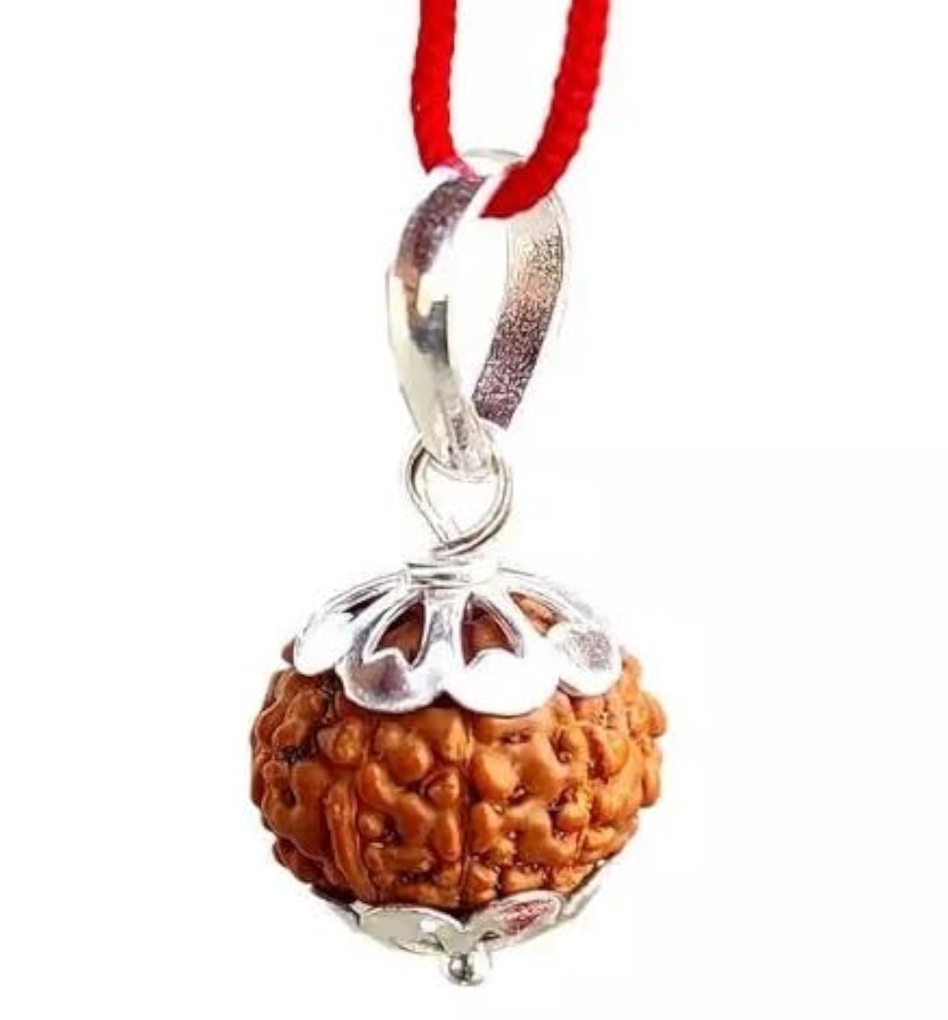 Natural 10 Mukhi Silver Studded Pendant, Small Size