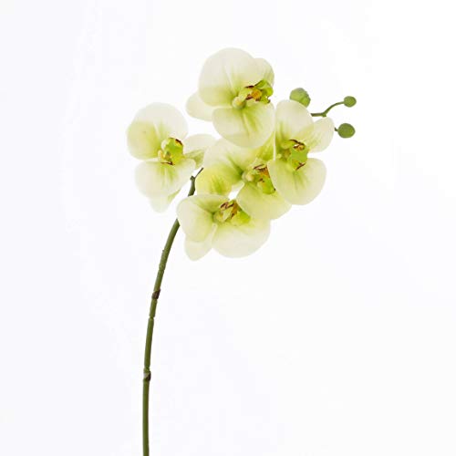 artplants.de Rama de phalaenopsis Emilia, Tacto Real, 5 Flores, Crema-Verde, 60cm - Flor Artificial - Flor Decorativa