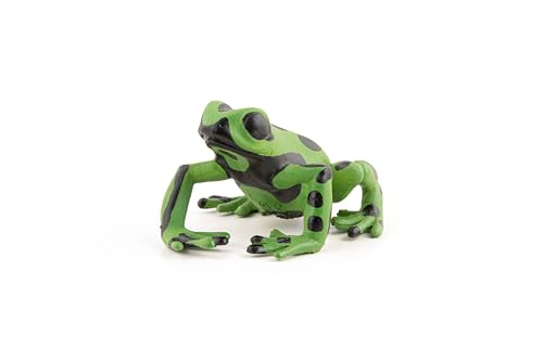 Papo - Figurine Grenouille Équatoriale Verte Réaliste - 3 Ans + - Collection La Vie Sauvage - Jeu Éducatif Amphibiens Exotiques - Idée Cadeau Jouet Fille Garçon