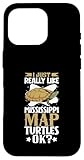 Creative Mississippi Map Turtle Designs