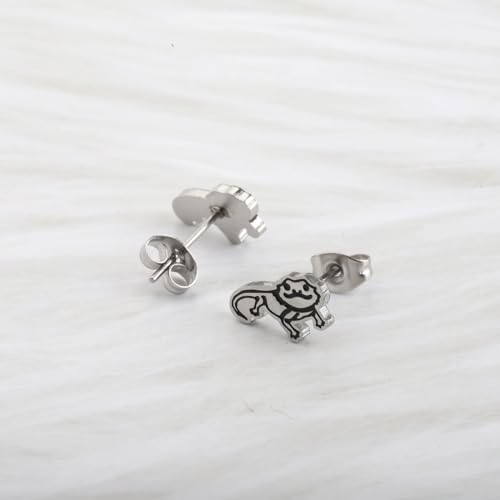 OKEYCH Bearded Dragon Lover Gift Stud Earrings Mom Jewelry4