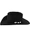 Stetson Apache 4X Buffalo Felt Cowboy Hat Black