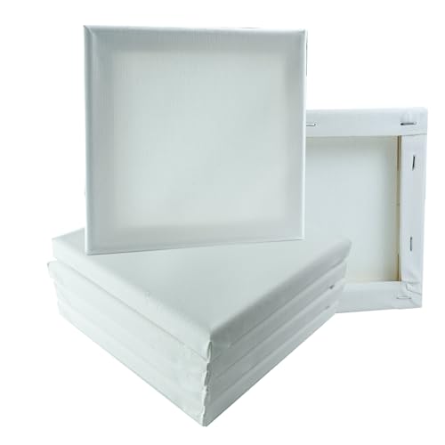 BMZXCH 6 Piezas 15 x 15 cm Lienzo Cuadros Mini Canvas Lienzos Pequeños para Pintar Pequeños, Lienzos 100% Algodón sin Ácidos con Bastidor de Madera para Acrílico, Pintura, Acuarela (Blancas)