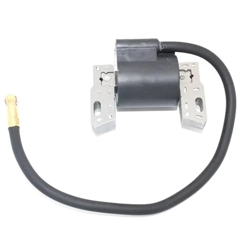Bobine d'allumage résout problème démarrage thermique 591420