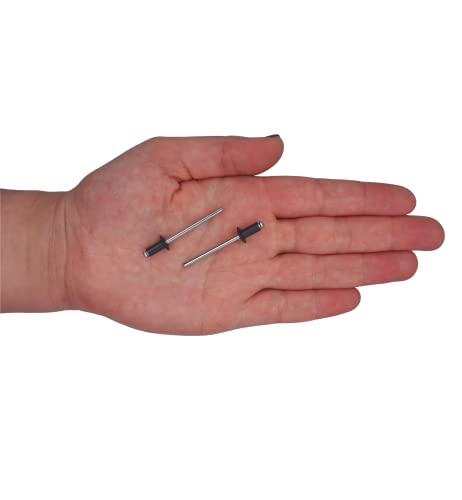 Marcopol (100 Stück) Lackierte Blindnieten 4,0 x 8 mm, Kuppelkopf, DIN 7337, Aluminiumniete und Stahldorn, Pop (100, Anthrazitgrau RAL 7016)
