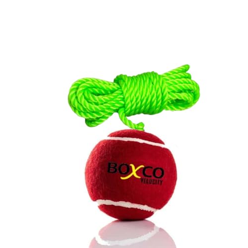Image of BOXCO Velocity Heavy Weight Hanging Tennis Cricket Ball for Match Practice & Training, Hanging Cricket Ball for Indoor /Outdoor Knocking (Maroon, Pack of 1)