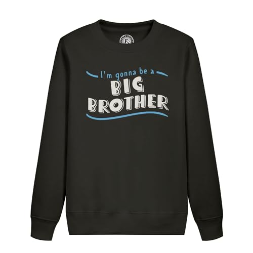 Sweatshirt enfant grand frère vêtement famille pour fils et bébé