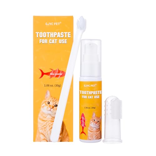 GJYC PET LpACAL΍AaȌoPAAWFAciA΂AnuVƎwTbNuVtAܖAtbft[zASr߂ĂvAL uVAeLɓKpAybgpiA30g