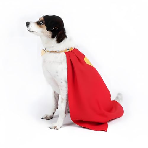 Krypto Costume - Pet Dog/Cat Clothes - Dog Collar Dog Cloak (Large)