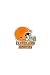 NFL Cleveland Browns Logo Pin