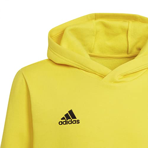 Adidas ENTRADA 22 Sweat, Felpa con Cappuccio