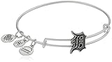 Alex and Ani Detroit Tigers Slider Charm Rafaelian Silver-Tone Bangle Bracelet