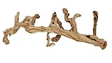 De La Terre Sandblasted Natural California Grapevine Grapewood | Decorative Grape Vine Wood DΓ©cor (24 Inch)