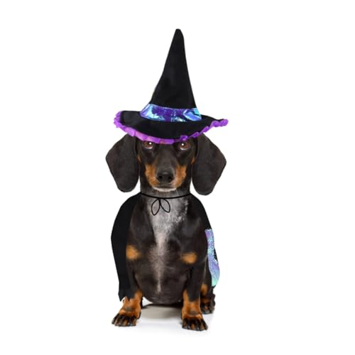 Disfraz de mago para perros talla L miniatura 1