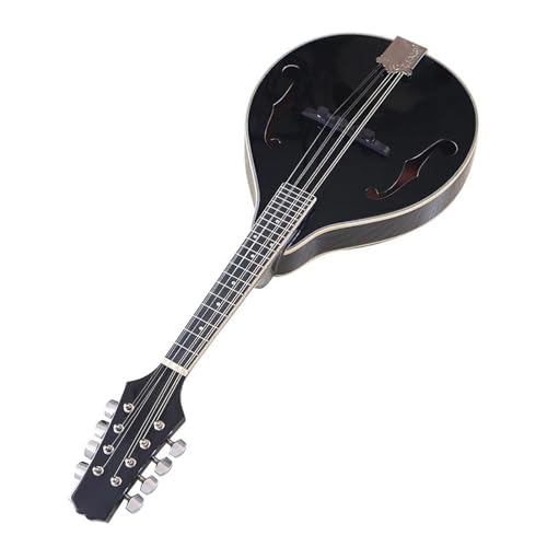 }h 8 S ptH[}[^CvE 8 }hÓTIȃfBbNy A X^C}hS҂̂߂̑l