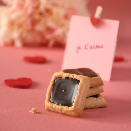 Michel et Augustin Cookies, Individually Wrapped Snacks, Changemaker Gift Box, Dark Chocolate & Sea Salt Shortbread, Bulk Snacks, 40 French Butter Cookies per Box